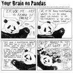 philanthropic-pandas-100-res